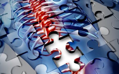 Minden, amit a gerincfájdalomról tudni érdemes – 1.rész